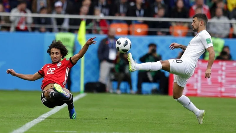 Hội viên tham gia cá cược thể thao tại Bbet sẽ được nhận những đặc quyền hấp dẫn